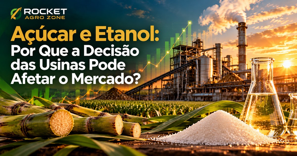 Açúcar e Etanol: Por Que a Decisão das Usinas Pode Afetar o Mercado?