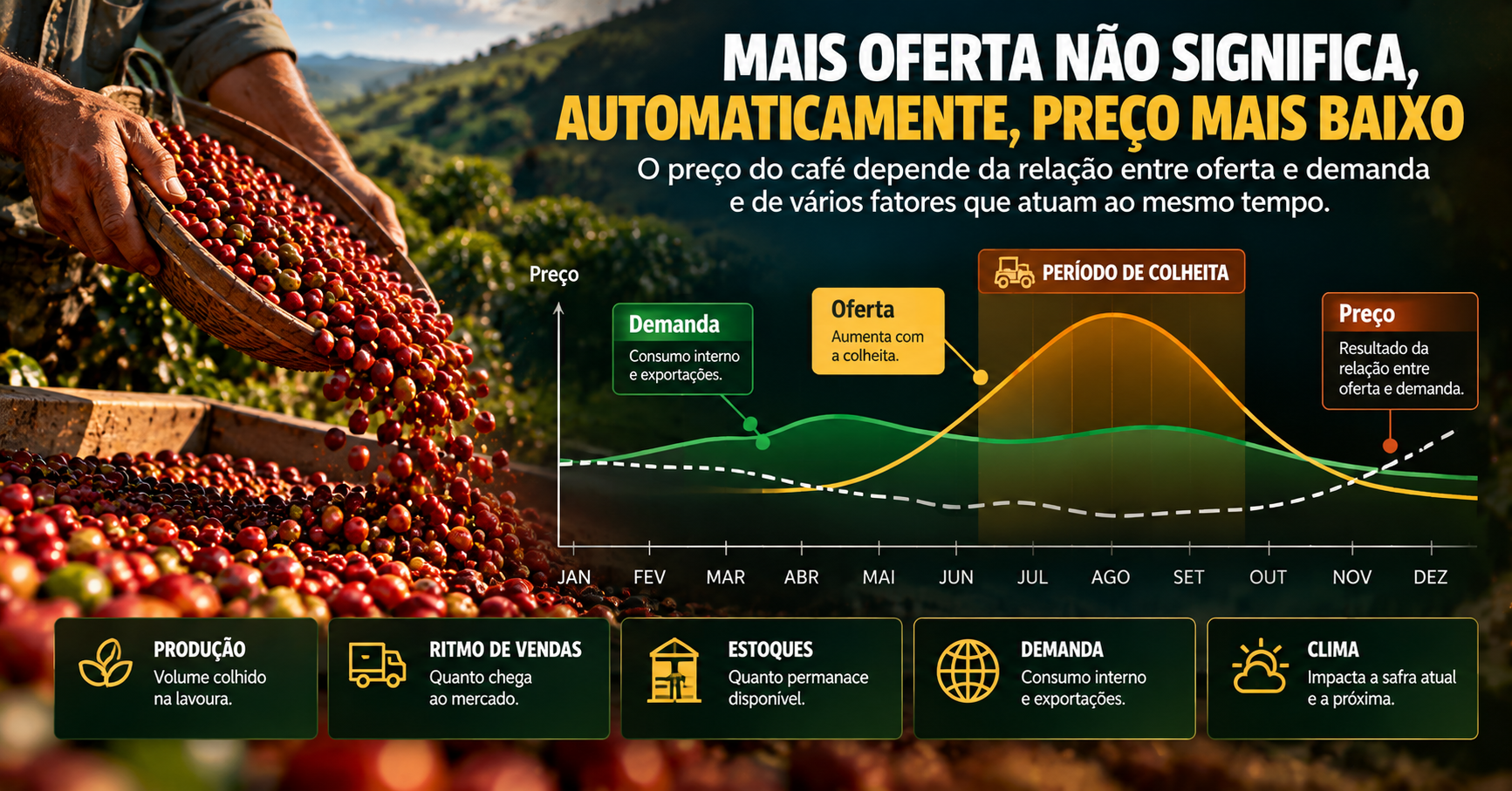 Colheita do Café e Pressão de Oferta: O Que Pode Acontecer com os Preços?