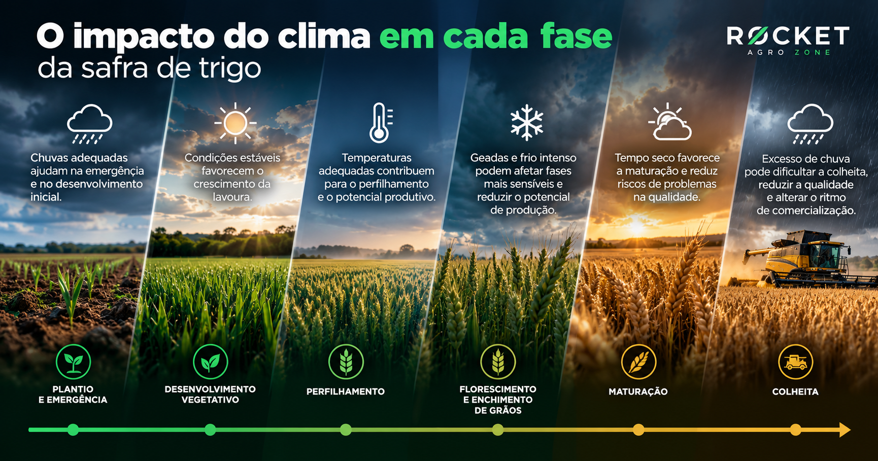 Clima na Safra de Trigo: Quando o Tempo Começa a Virar uma Variável de Mercado