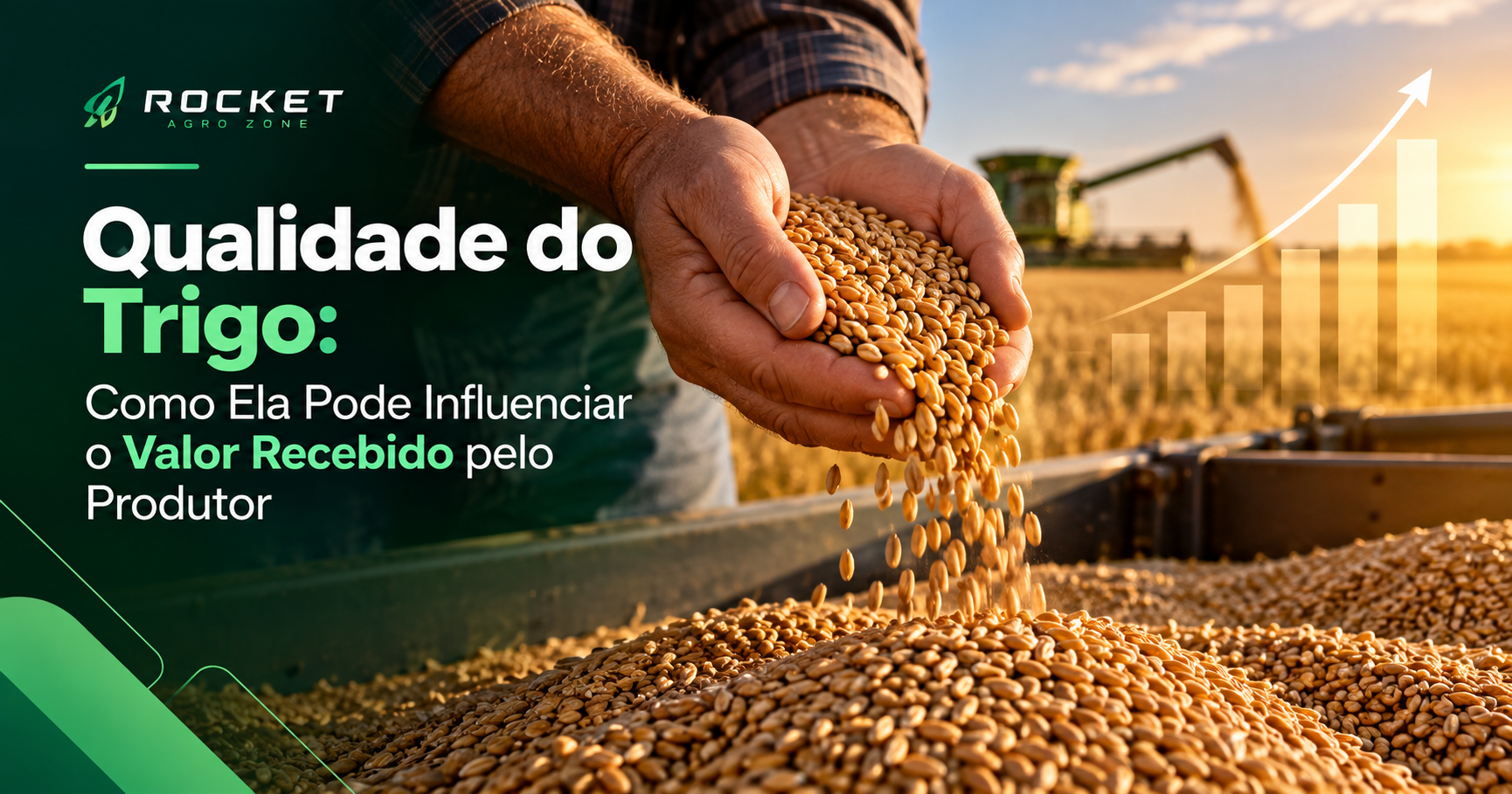 Qualidade do Trigo: Como Ela Pode Influenciar o Valor Recebido pelo Produtor