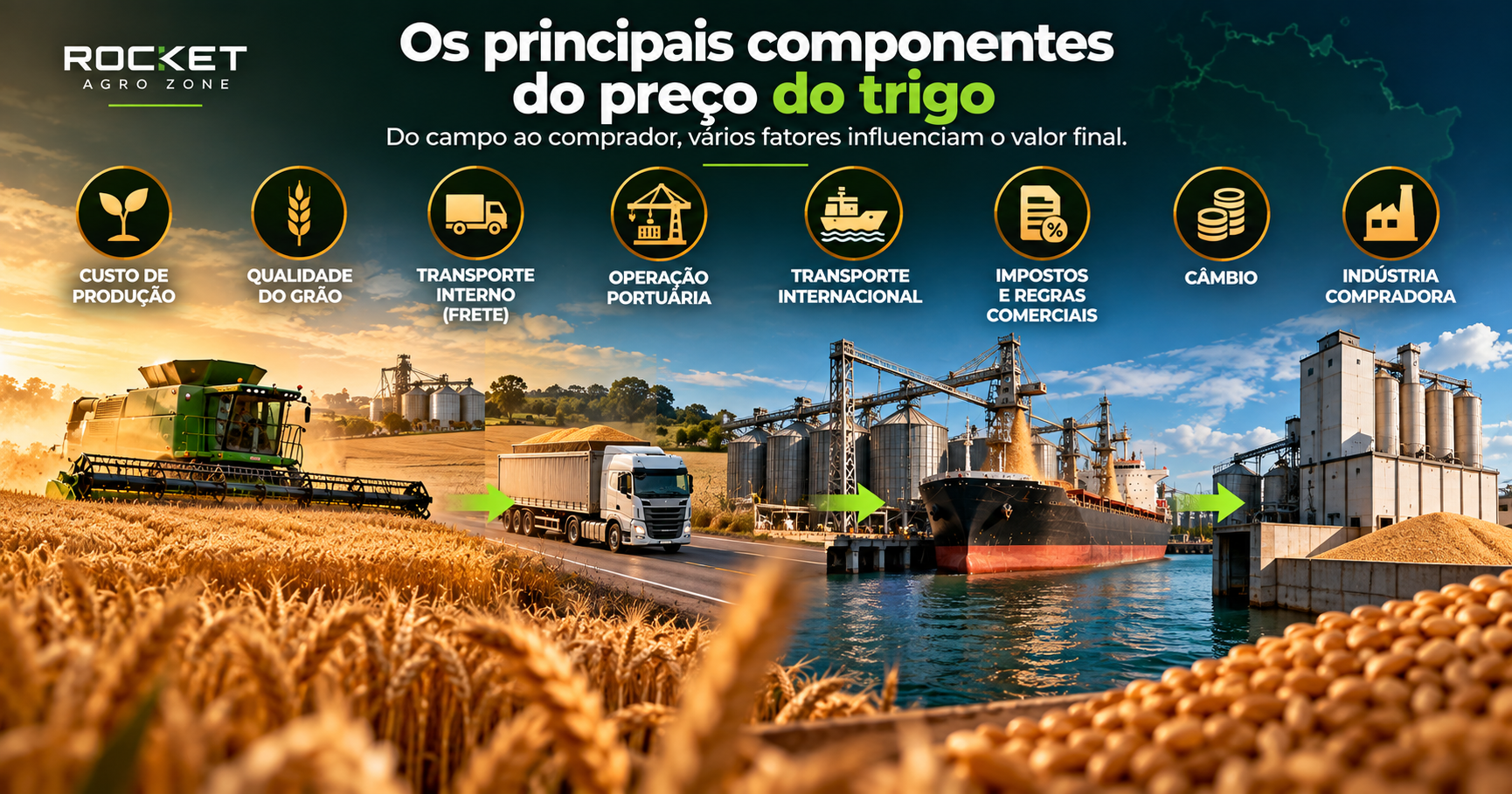 Trigo Nacional ou Importado: O Que Explica a Diferença de Preços?