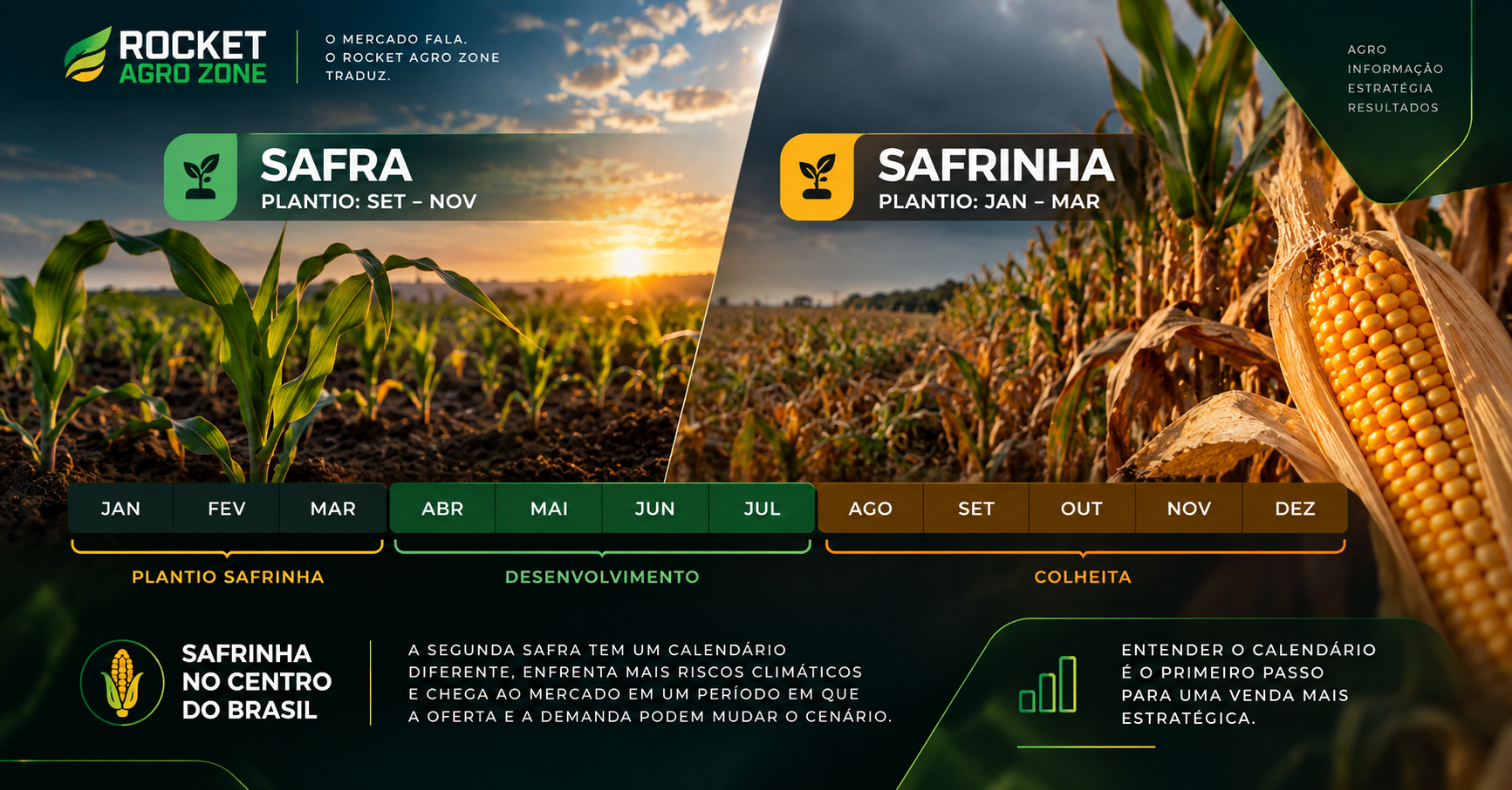 Milho da Safrinha: Por Que o Momento da Venda Pode Ser Diferente de Outras Safras?
